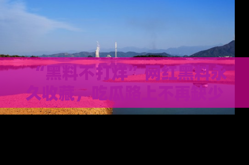 “黑料不打烊”网红黑料永久收藏，吃瓜路上不再缺少惊喜与乐趣