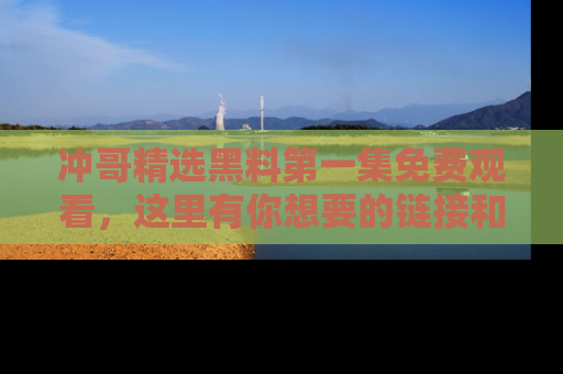 冲哥精选黑料第一集免费观看，这里有你想要的链接和内幕！