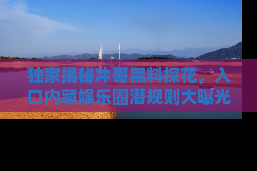 独家揭秘冲哥黑料探花，入口内藏娱乐圈潜规则大曝光