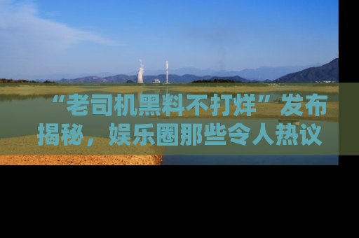 “老司机黑料不打烊”发布揭秘，娱乐圈那些令人热议的黑暗秘密！