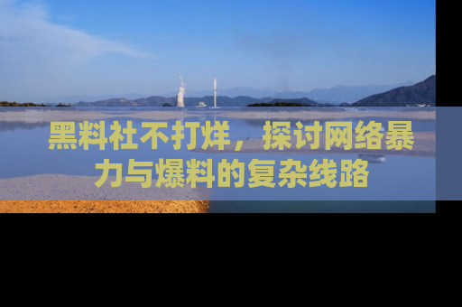 黑料社不打烊，探讨网络暴力与爆料的复杂线路