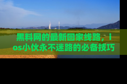 黑料网的最新回家线路，ios小伙永不迷路的必备技巧！