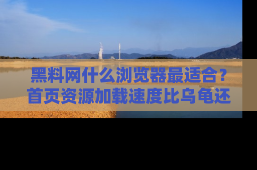 黑料网什么浏览器最适合？首页资源加载速度比乌龟还慢的体验真心吐槽！