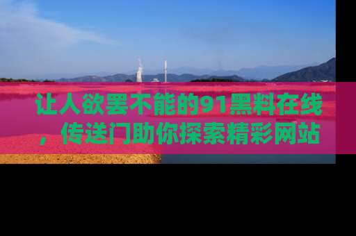 让人欲罢不能的91黑料在线，传送门助你探索精彩网站内幕！