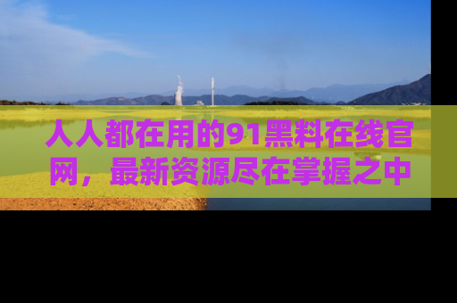 人人都在用的91黑料在线官网，最新资源尽在掌握之中