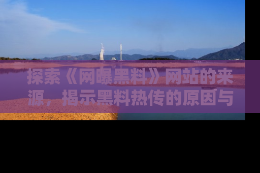 探索《网曝黑料》网站的来源,揭示黑料热传的原因与影响