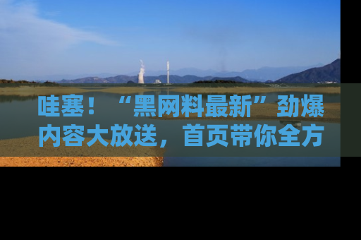 哇塞！“黑网料最新”劲爆内容大放送，首页带你全方位了解哦，小可爱们
