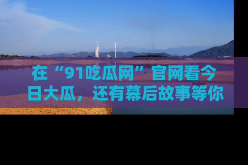 在“91吃瓜网”官网看今日大瓜,还有幕后故事等你来挖掘!