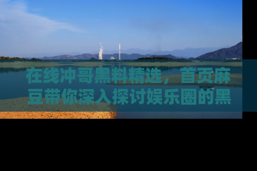 在线冲哥黑料精选,首页麻豆带你深入探讨娱乐圈的黑暗面