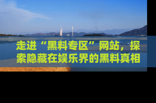 走进“黑料专区”网站,探索隐藏在娱乐界的黑料真相