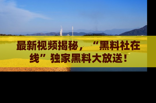 最新视频揭秘,“黑料社在线”独家黑料大放送!
